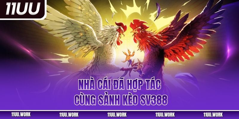 Nhà cái đã hợp tác cùng sảnh kèo SV388
