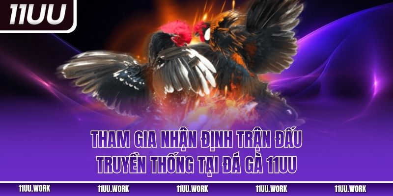 Tham gia nhận định trận đấu truyền thống tại đá gà 11UU