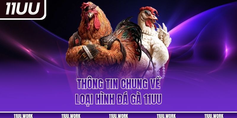 Thông tin chung về loại hình đá gà 11UU