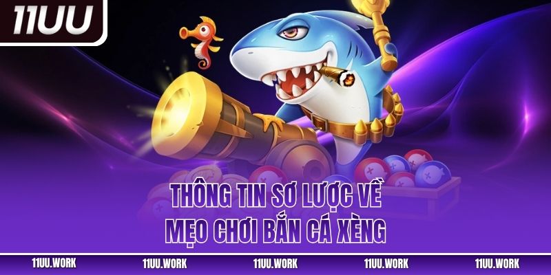Thông tin sơ lược về mẹo chơi bắn cá xèng